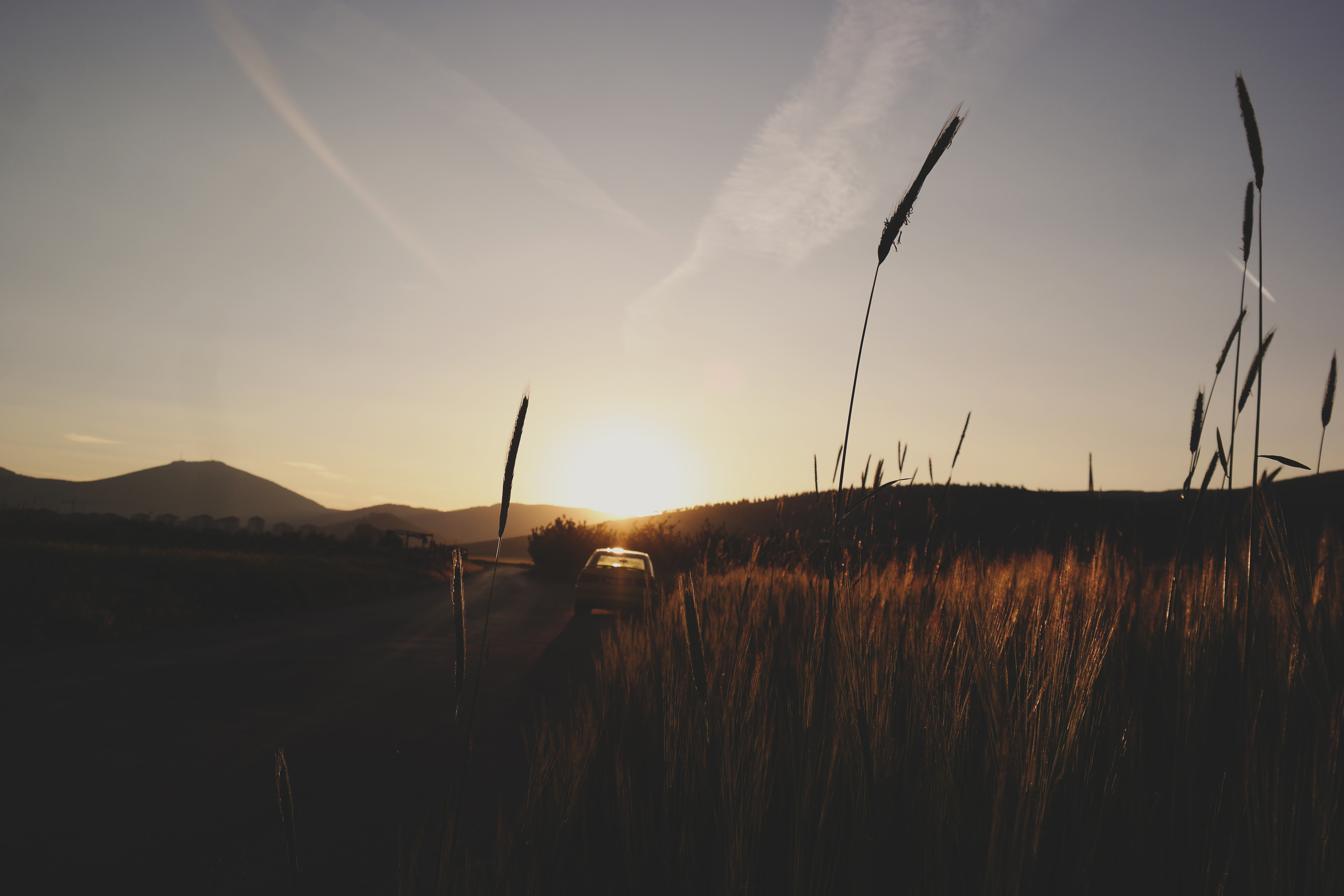 Alternus Energy Reports Second Quarter 2019 Results