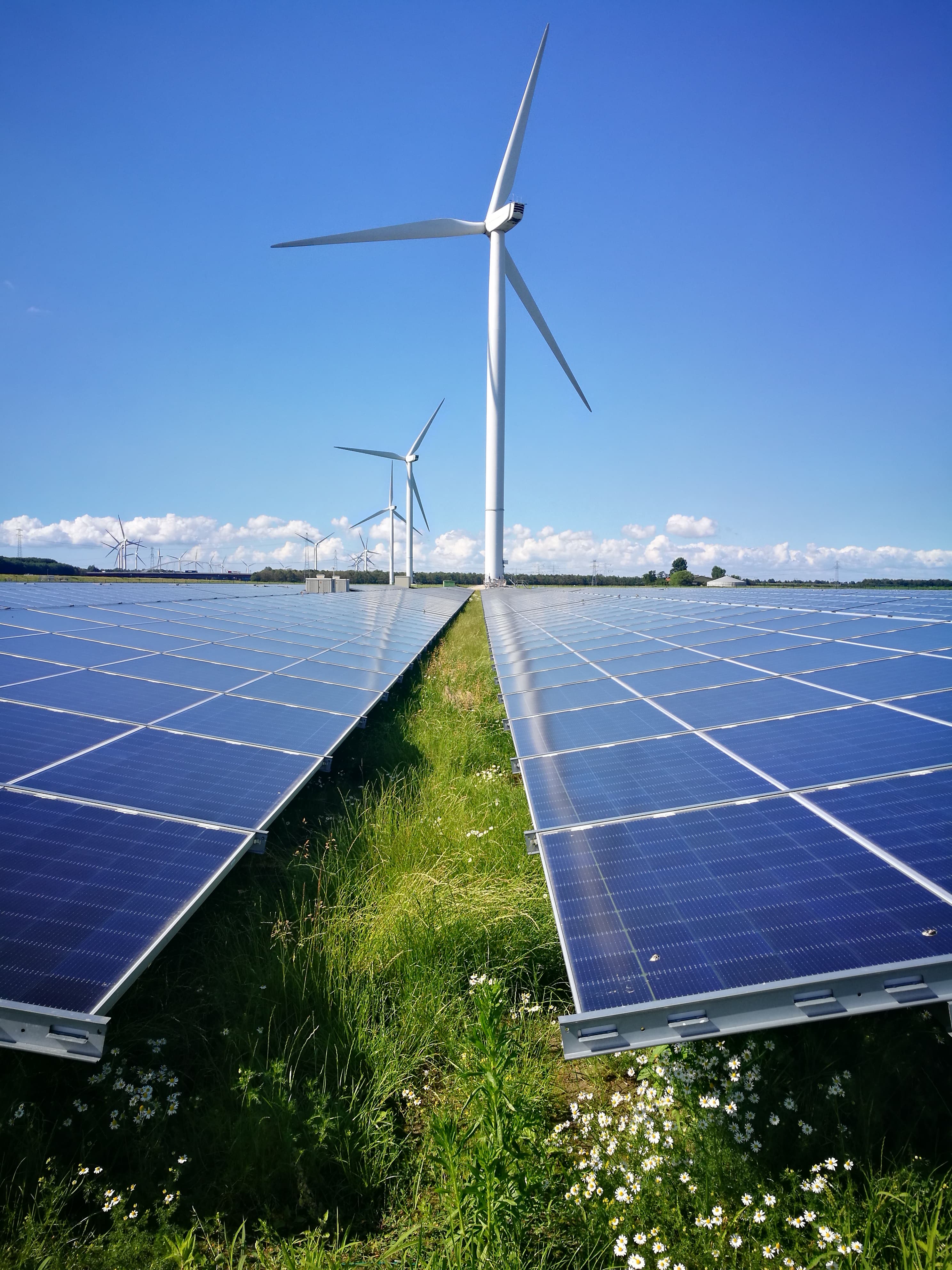 Alternus Energy Agrees to Acquire 11.75 MW Solar Park in Rilland, the Netherlands