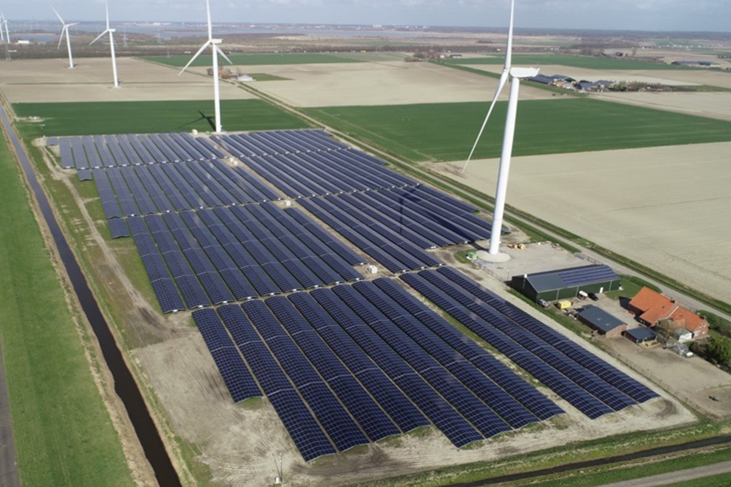 Alternus Energy harnesses the power of the sun to play a leading role in the green energy drive
