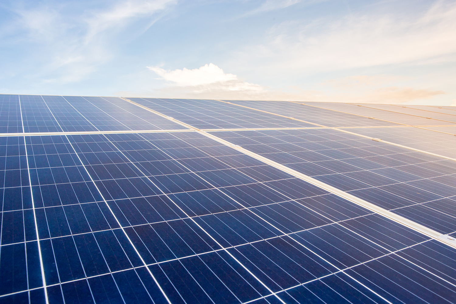 Alternus Energy continues its rapid growth by acquiring the first of several new solar parks in Italy