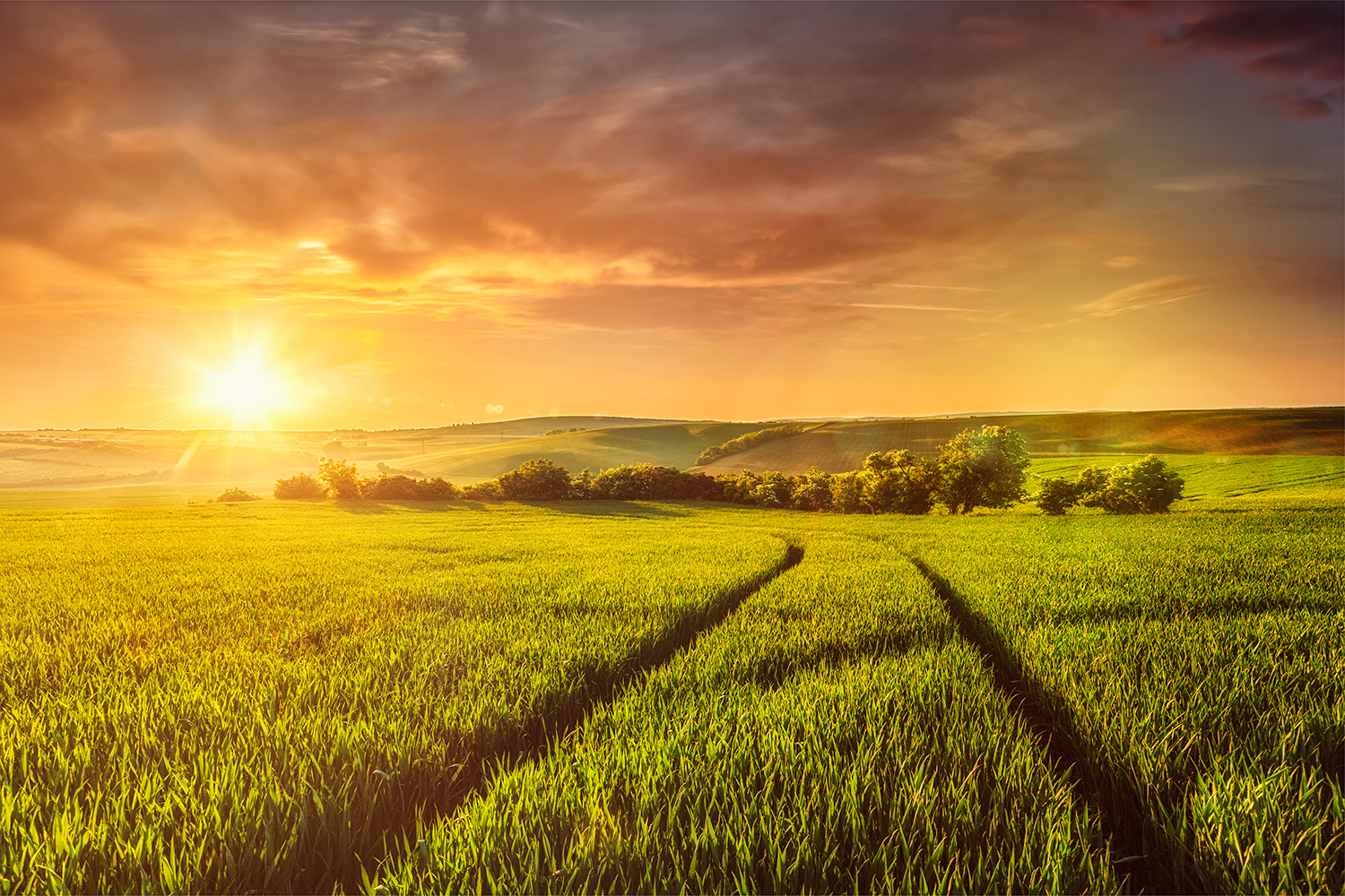 Alternus Energy drives continued European expansion with completion of 15MWp capacity in Romania